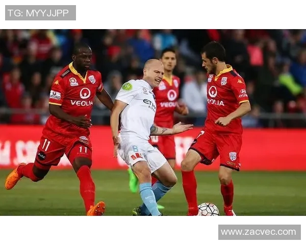 悉尼与墨尔本城对决前瞻分析及赛果预测详解